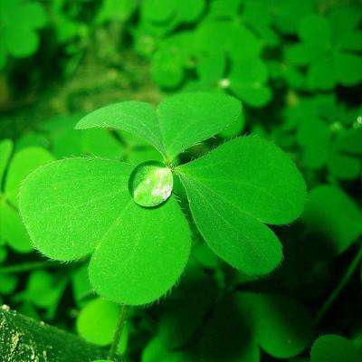 IM体育官网登录入口