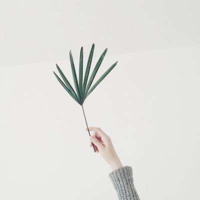 安博·体育APP截图